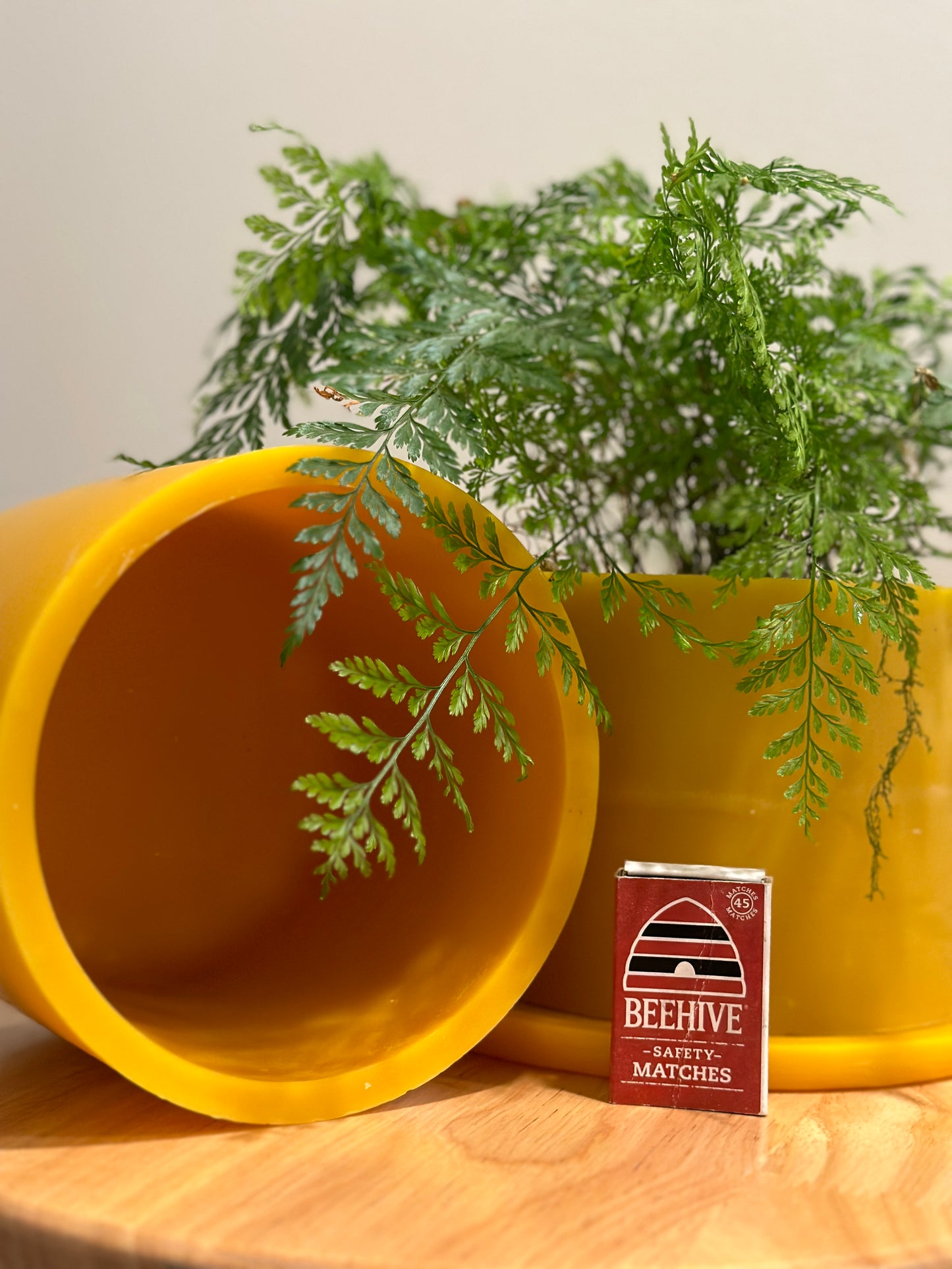 BEESWAX PLANT POT